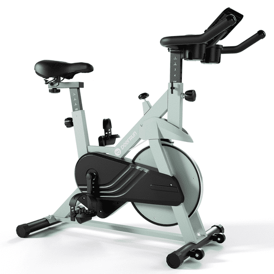 DeerRun S500 Indoor Smart Stationary Cycling Bike with PitPat App, 1-32 Magnetic Resistance